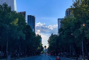Mexico City Tour with Anthropology Museum