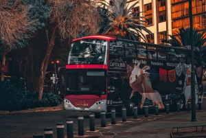 Meksyk: wycieczka autobusowa dla turystów