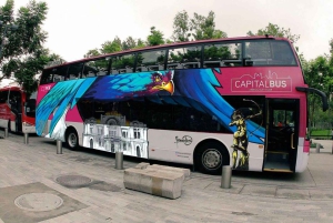 Meksyk: wycieczka autobusowa dla turystów