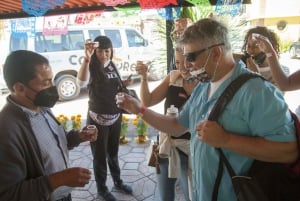 Mexico by: Tur til Teotihuacan-pyramidene og Guadalupe-helligdommen