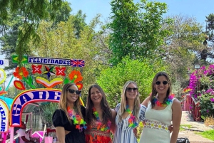 Mexiko-Stadt: Xochimilco Boat Party mit unbegrenzten Getränken