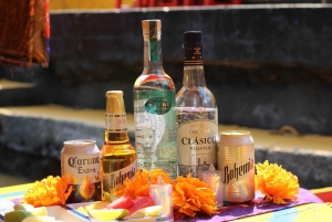 Ciudad de México: Barco en Xochimilco con guacamole y bebidas premium