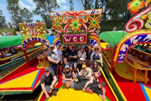 Ciudad de México: Barco en Xochimilco con guacamole y bebidas premium