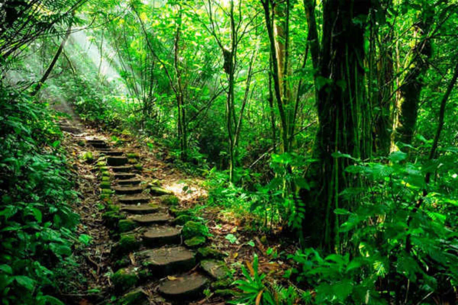 Mombachon luonnonsuojelualue ja katosseikkailu