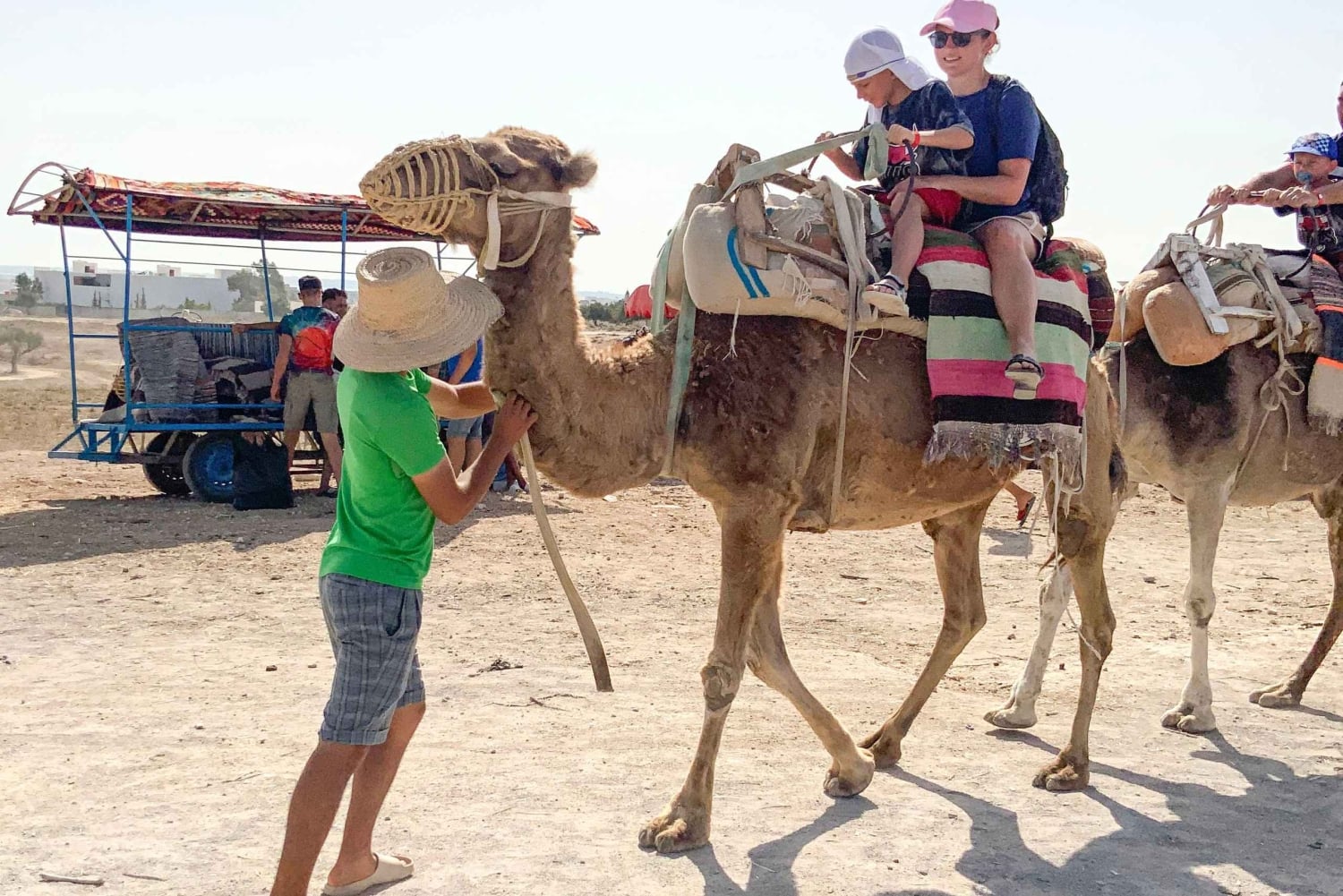 モナスティールラクダ乗り（ホテル送迎付き