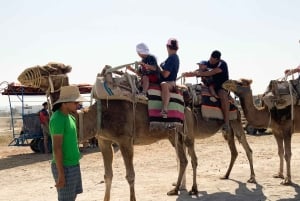モナスティールラクダ乗り（ホテル送迎付き
