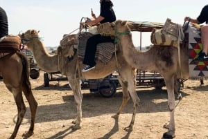 モナスティールラクダ乗り（ホテル送迎付き