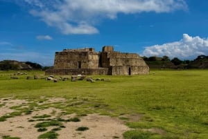 Dagstur til Monte Albán og Mitla