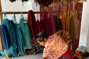 Dagstur til Monte Albán og Mitla