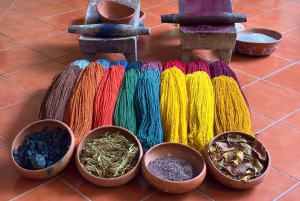 Dagstur til Monte Albán og Mitla