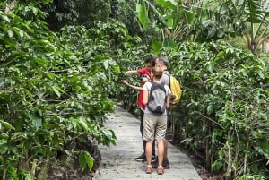 Monteverde: Coffee, Chocolate, and Sugar Cane Day Trip