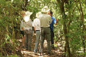 Monteverde: Coffee, Sugar Cane, and Chocolate Tour