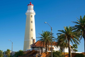 Montevideo: City Tour, Punta del Este, & Colonia Trip