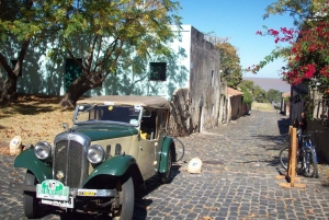 Montevideo: City Tour, Punta del Este, & Colonia Trip