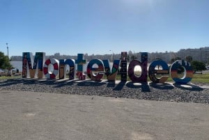 Montevidéu: excursão completa de meio dia com guia e 6 paradas