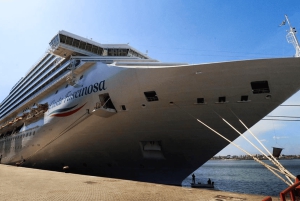 クルーズ客船乗客のためのモンテビデオエクスプレス：文化と地元の体験をお楽しみください