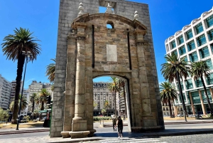 クルーズ客船乗客のためのモンテビデオエクスプレス：文化と地元の体験をお楽しみください