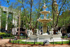 クルーズ客船乗客のためのモンテビデオエクスプレス：文化と地元の体験をお楽しみください