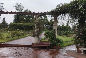 Montevideo fra Buenos Aires -Unik privat turopplevelse