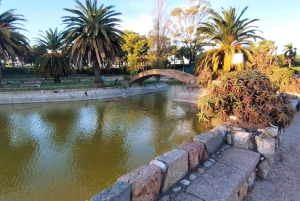 Montevideo fra Buenos Aires -Unik privat turopplevelse