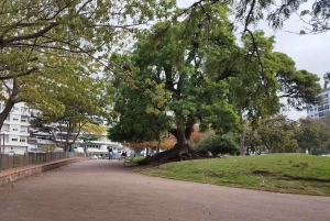 Montevideo fra Buenos Aires -Unik privat turopplevelse