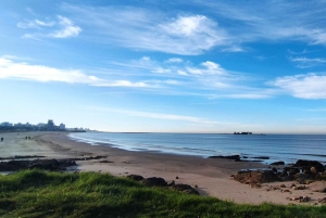 Montevideo fra Buenos Aires -Unik privat turopplevelse