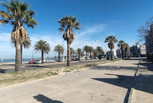 Montevideo fra Buenos Aires -Unik privat turopplevelse