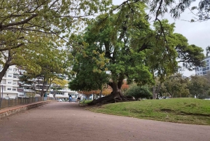 Montevideo - Ganztägige private Tour