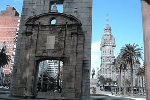 Montevideo : Højdepunkter Byvandring med en guide