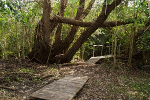 Montevideo: La Macarena Wetland Day Trip with Lunch