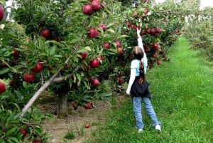 Montevideo: La Macarena Wetland Day Trip with Lunch