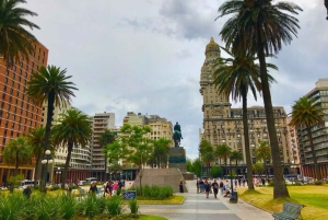 Montevideo: Private custom tour with a local guide