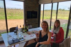 Montevideo: Wine Tasting & Countryside Lunch Experience