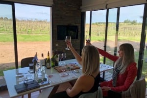 Montevideo: Wine Tasting & Countryside Lunch Experience