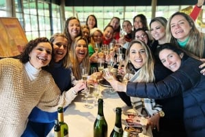 Montevideo: Wine Tasting & Countryside Lunch Experience