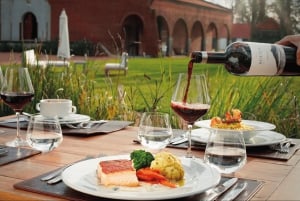 Montevideo: Wine Tasting Tour for Cruise Passengers