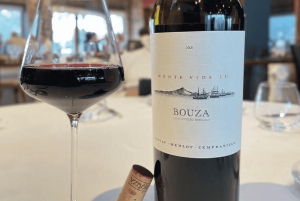 Montevideo: Wine Tasting Tour for Cruise Passengers