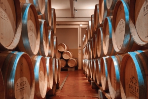 Montevideo: Wine Tasting Tour for Cruise Passengers