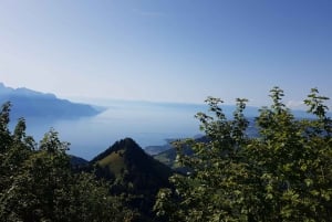 Montreux to Rochers-de-Naye: Alpine Adventure Ticket