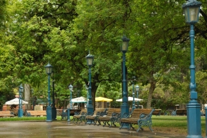 Museo Municipal de Arte Moderno de Mendoza Visita Privada