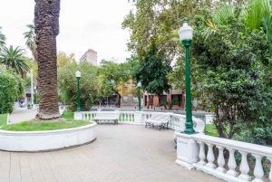 Museo Municipal de Arte Moderno de Mendoza Visita Privada