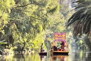 Music and Tequila in Xochimilco visits Coyoacán and CU