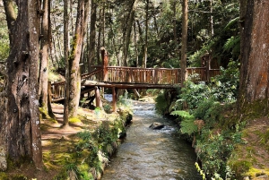 Medellin naturel : jardin botanique, parc Arví, colline El Volador et déjeuner.