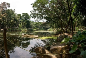 Medellin naturel : jardin botanique, parc Arví, colline El Volador et déjeuner.
