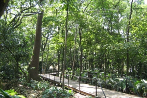 Medellin naturel : jardin botanique, parc Arví, colline El Volador et déjeuner.