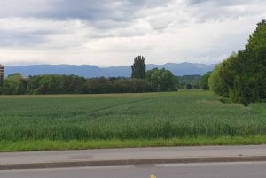 Near Geneva Wine Tasting and Castle By E-bike