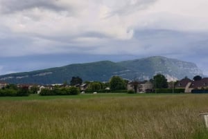 Near Geneva Wine Tasting and Castle By E-bike