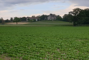 Near Geneva Wine Tasting and Castle By E-bike
