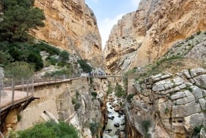 Nerja, Torrox ou Torre del Mar: excursão de um dia ao Caminito del Rey