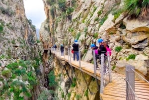 Nerja, Torrox ou Torre del Mar: excursão de um dia ao Caminito del Rey